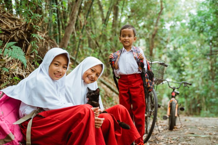 Indonesia Emas 2045